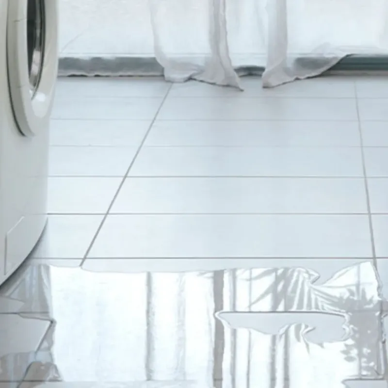 Appliance Leak Cleanup in Boone County, IA