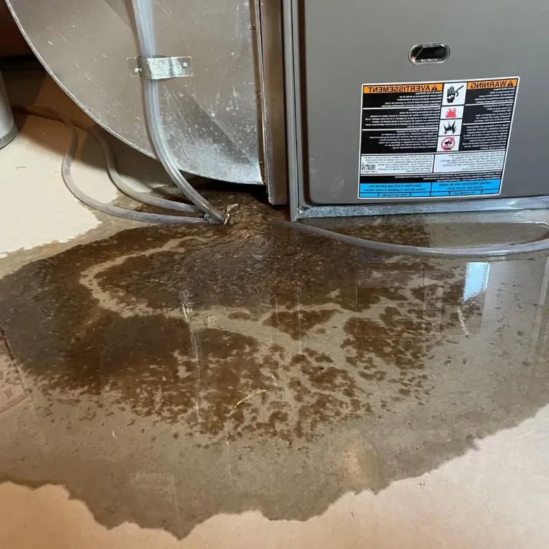 Pipe Burst and Leak Restoration in Boone County, IA