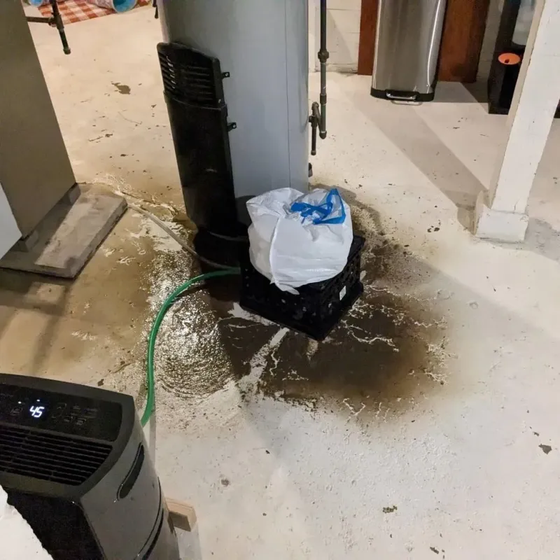 Sewage Backup Cleanup Service in Boone County, IA